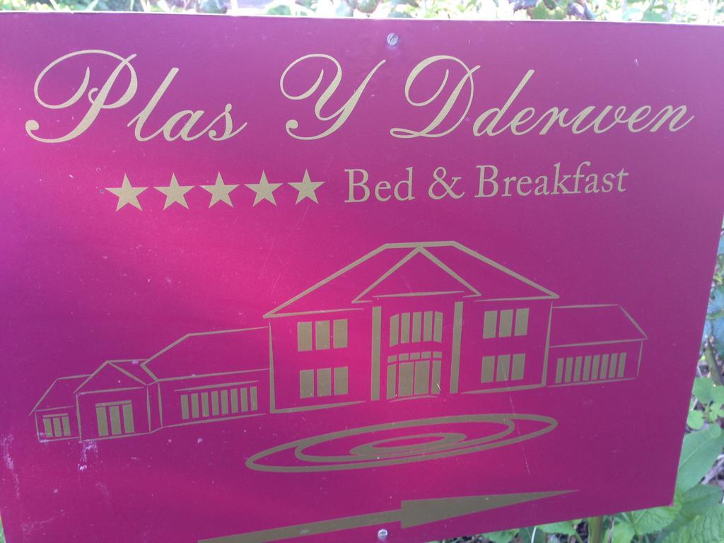 Plas Y Dderwen Bed And Breakfast Aberystwyth Kültér fotó